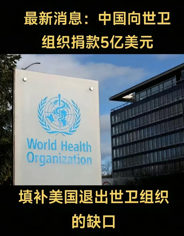 中国向世卫组织捐款5亿美元，填补美国退出世卫组资金缺口，俺想问一下，资金缺口补上