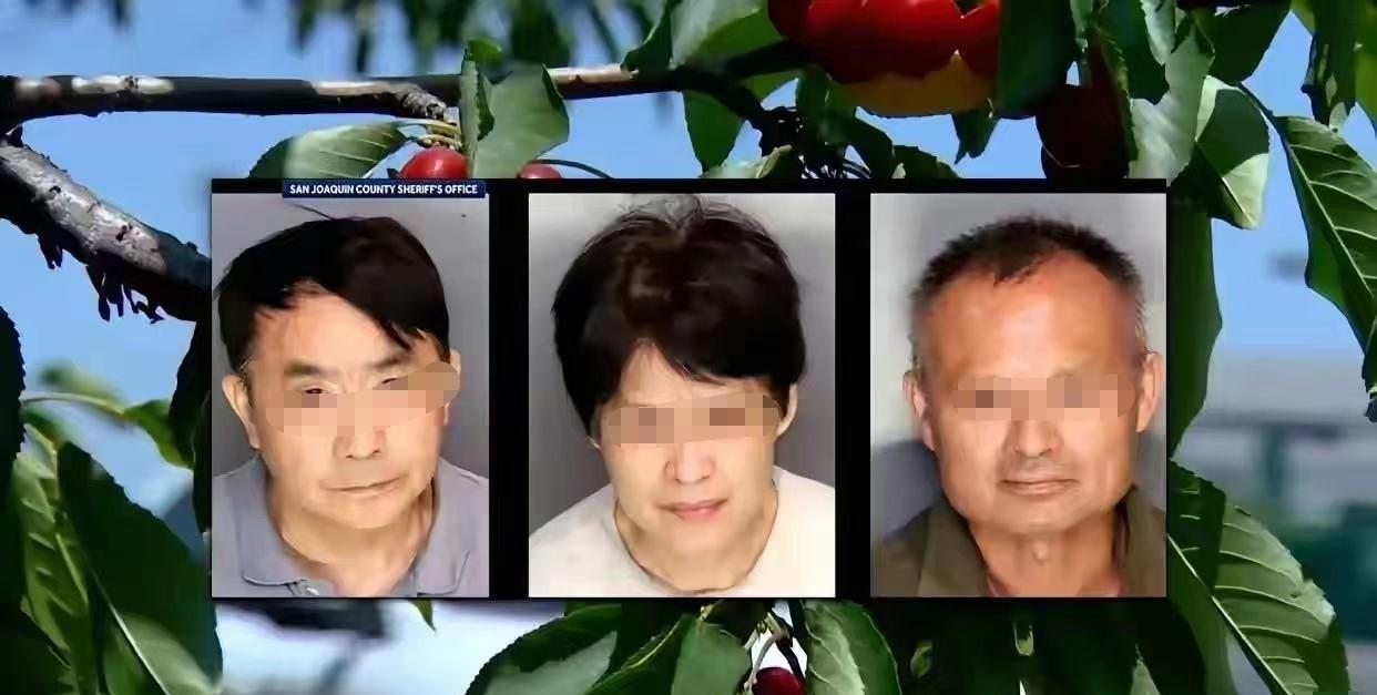 照片中是旅居老美的三位华人，丢人丢大发了。
两位男士均为62岁，女士52岁，三人