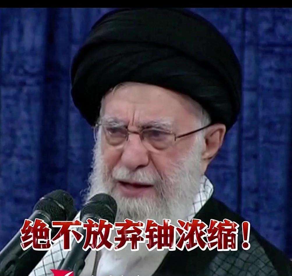 外网疯传说莫斯科已对德黑兰私下承诺，一旦伊朗局势崩盘，俄罗斯愿意为哈梅内伊全家，