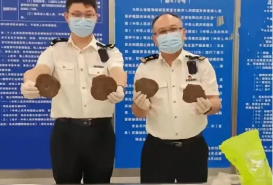 印度旅客带牛粪入境，海关拦截











太离谱！印度牛粪入境，差点出