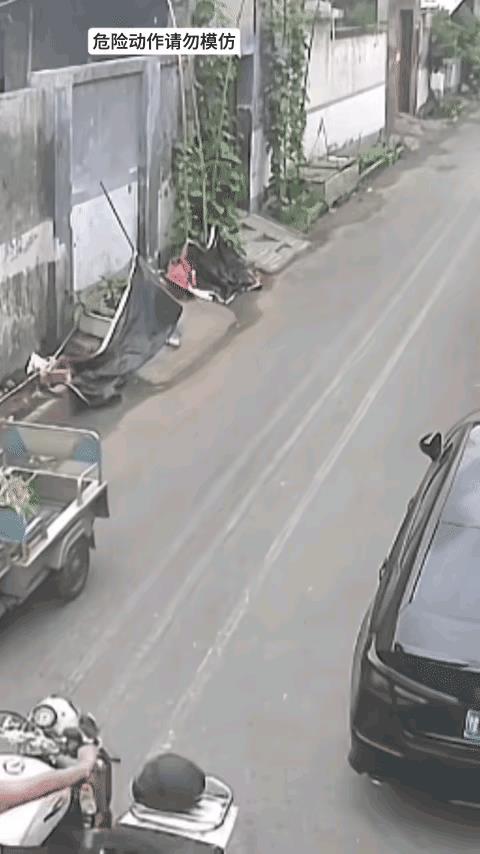 三蹦子留下就原谅你俩啦。