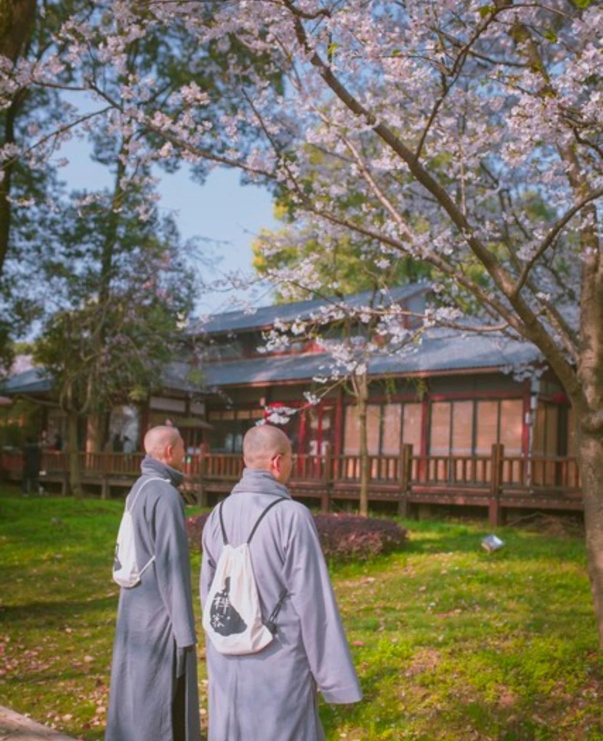 少林寺新方丈上任以后狠抓寺风，要求和尚们4:00就起床念经还搞了个夜话禅堂，师傅