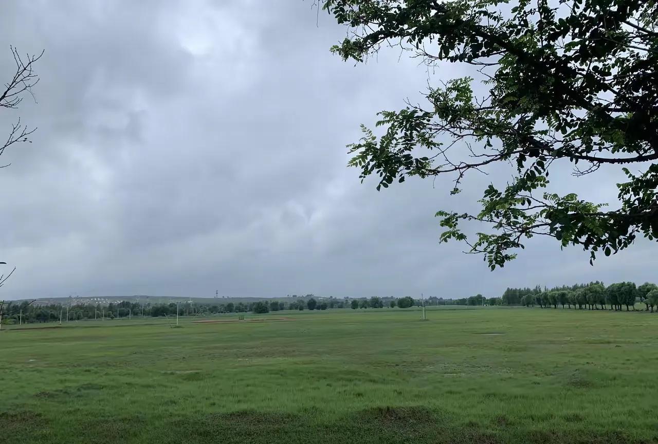 穿越千山万水去看风景，没想到真正的风景就在身边。放了假，家长都带孩子去看世界了，