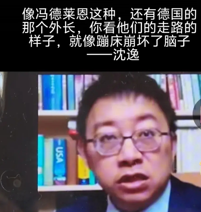 沈逸教授对冯德莱恩以及德国外长的评价
点评一下：想问问沈逸教授的眼睛是怎回事？沈