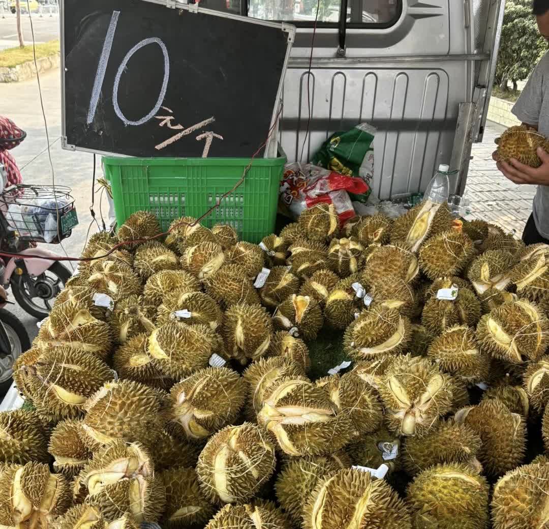 今儿骑车去我妈家路上，瞅见一车榴莲才卖10块钱一个！个个都咧着口，可奇怪的是没人