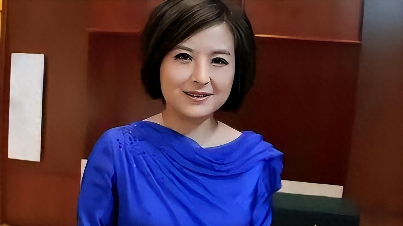 说起张泉灵这个名字，很多人脑海里第一反应就是那个在央视新闻里端庄大气的主持人