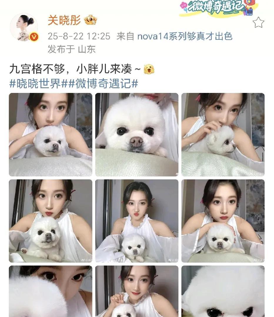 关晓彤晒和宠物小胖合照！
8月22日，关晓彤在社交平台晒出了最新的九宫格照片，她