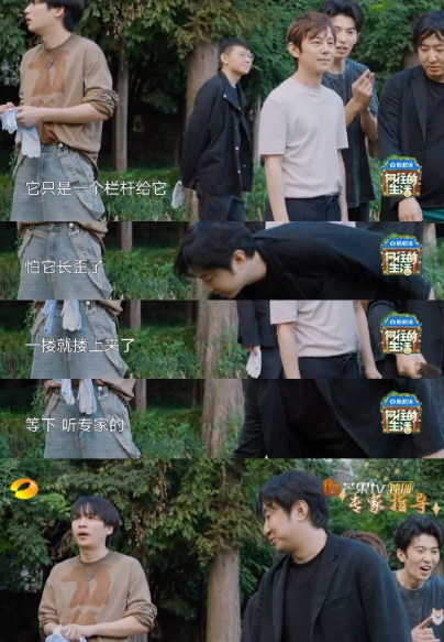 看完只想说“太绝了”！赵小童进村就发光，种地技能点满，周五22点双平台追定了～ 