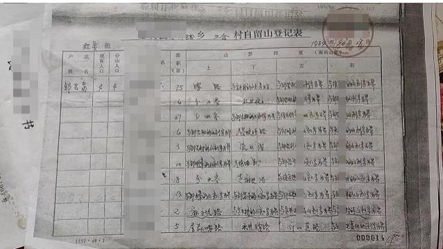 湖南慈利林权纠纷调查：“林业三定” 原始凭证遇确权困局 农户维权陷程序迷阵