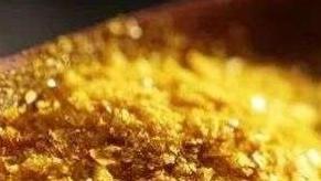 急救三宝之一：安宫牛黄丸中的熊胆角色考究