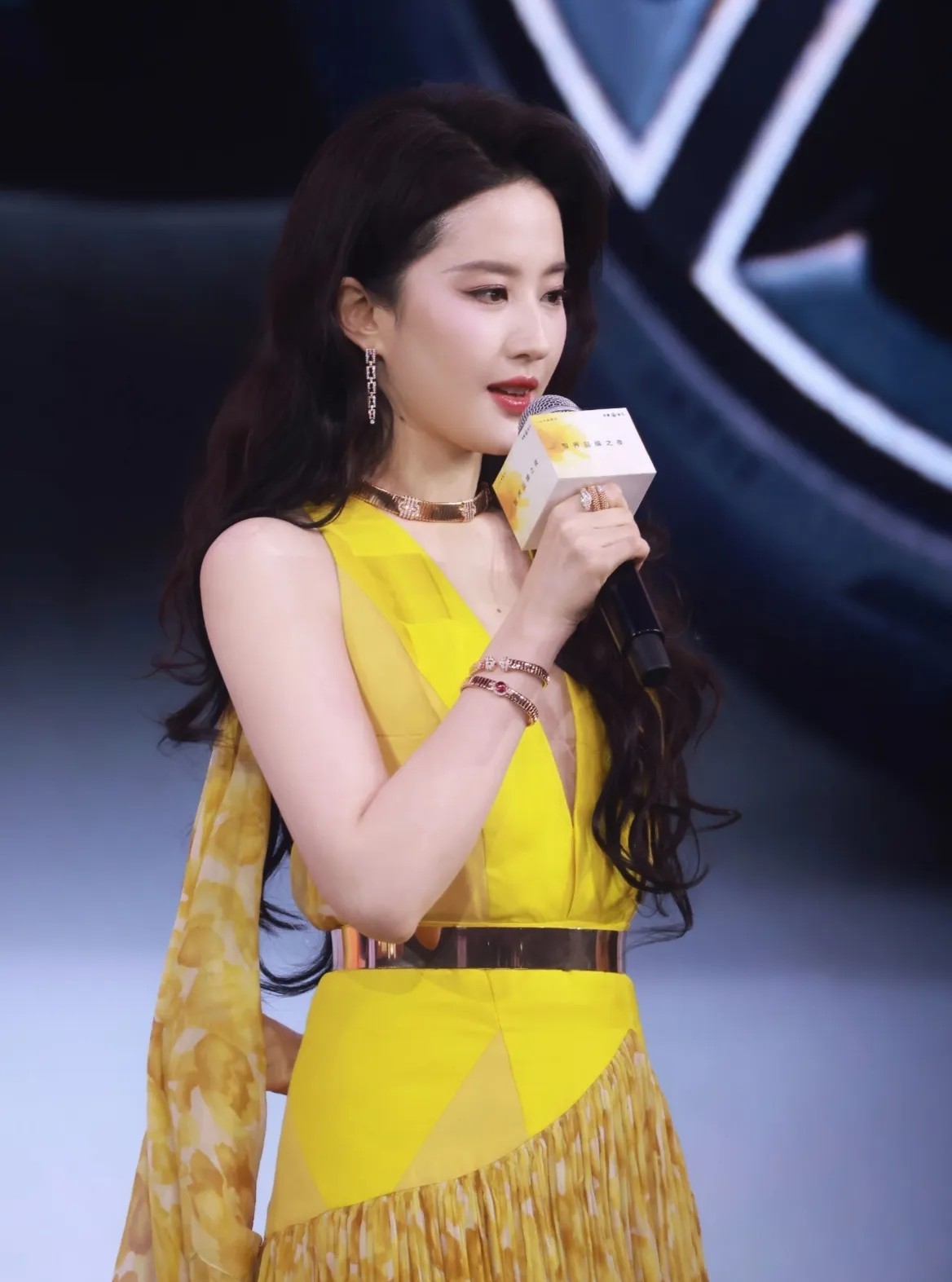 那些有钱人喜欢刘亦菲啊，可不是因为她长得跟天仙似的，也不是因为她演戏多厉害。  