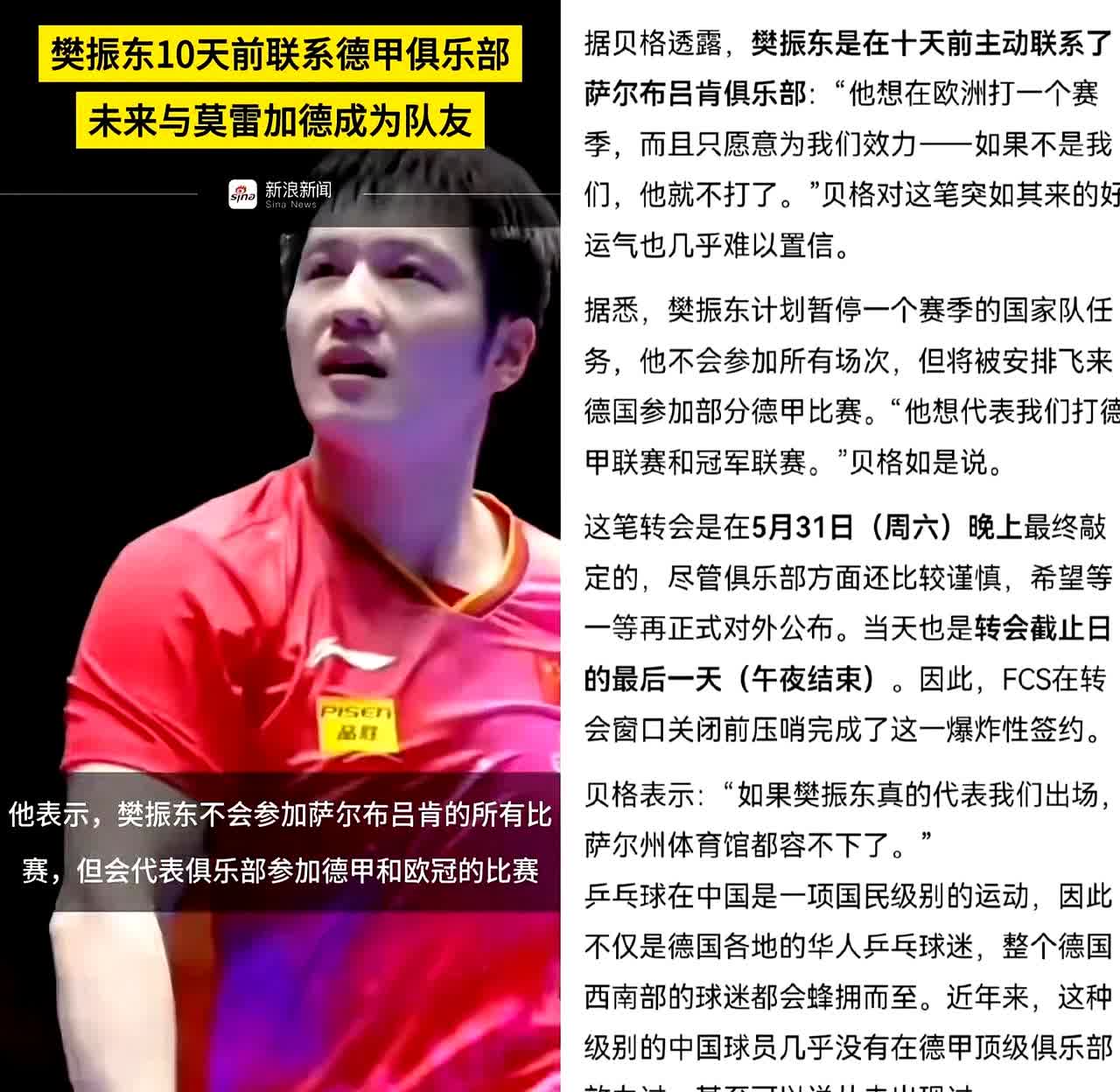 谁能懂啊！

樊振东是自己主动去联系德甲俱乐部的。

不得不说，东子真是