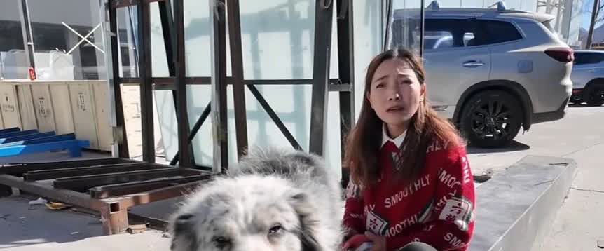 邓小微又双叒叕换车了。老式面包车改装还没完工投用，又买了箱式货车改装。这是没完没