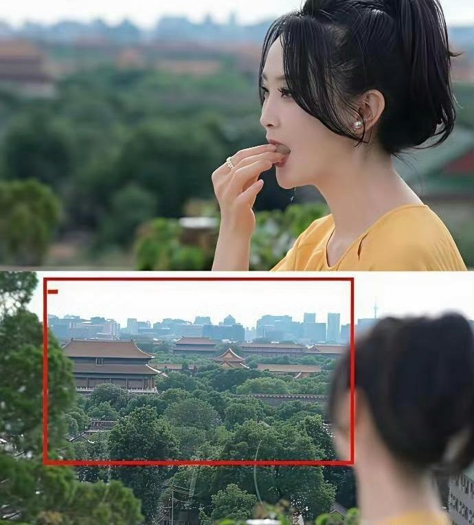 感觉王艳每次发照片不秀一下紫禁城背景都难受 ​​​