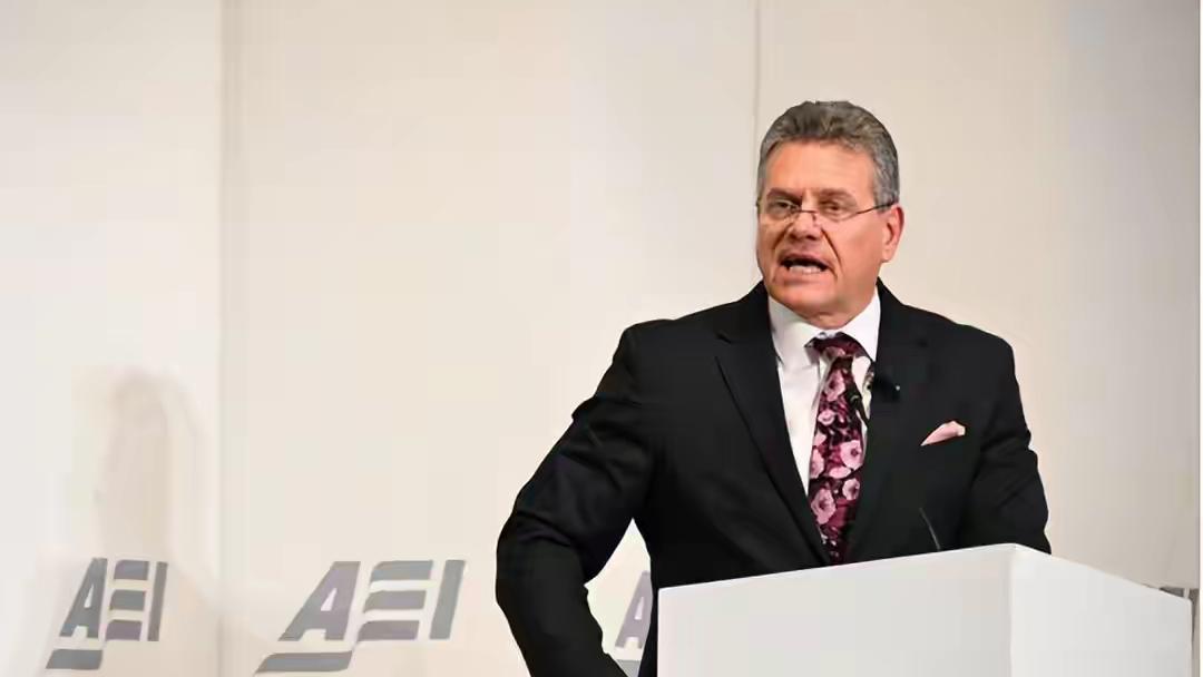 欧盟得偿所愿，2000份稀土申请通过一半，更得到了中方肯定