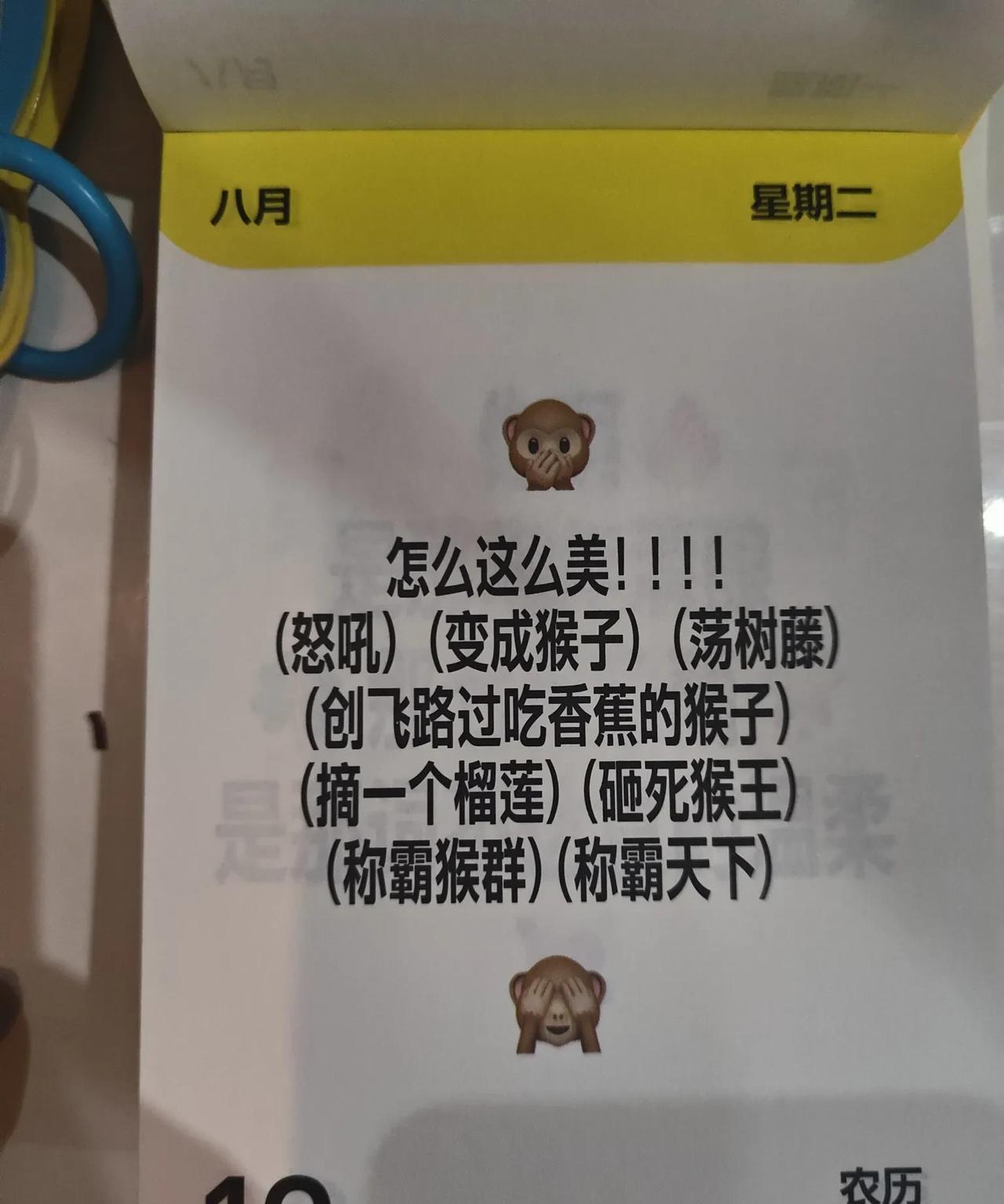 #晒图笔记大赛#夸夸日历，越看越有意思！从今年1月1日起到现在，每天都不一样的“