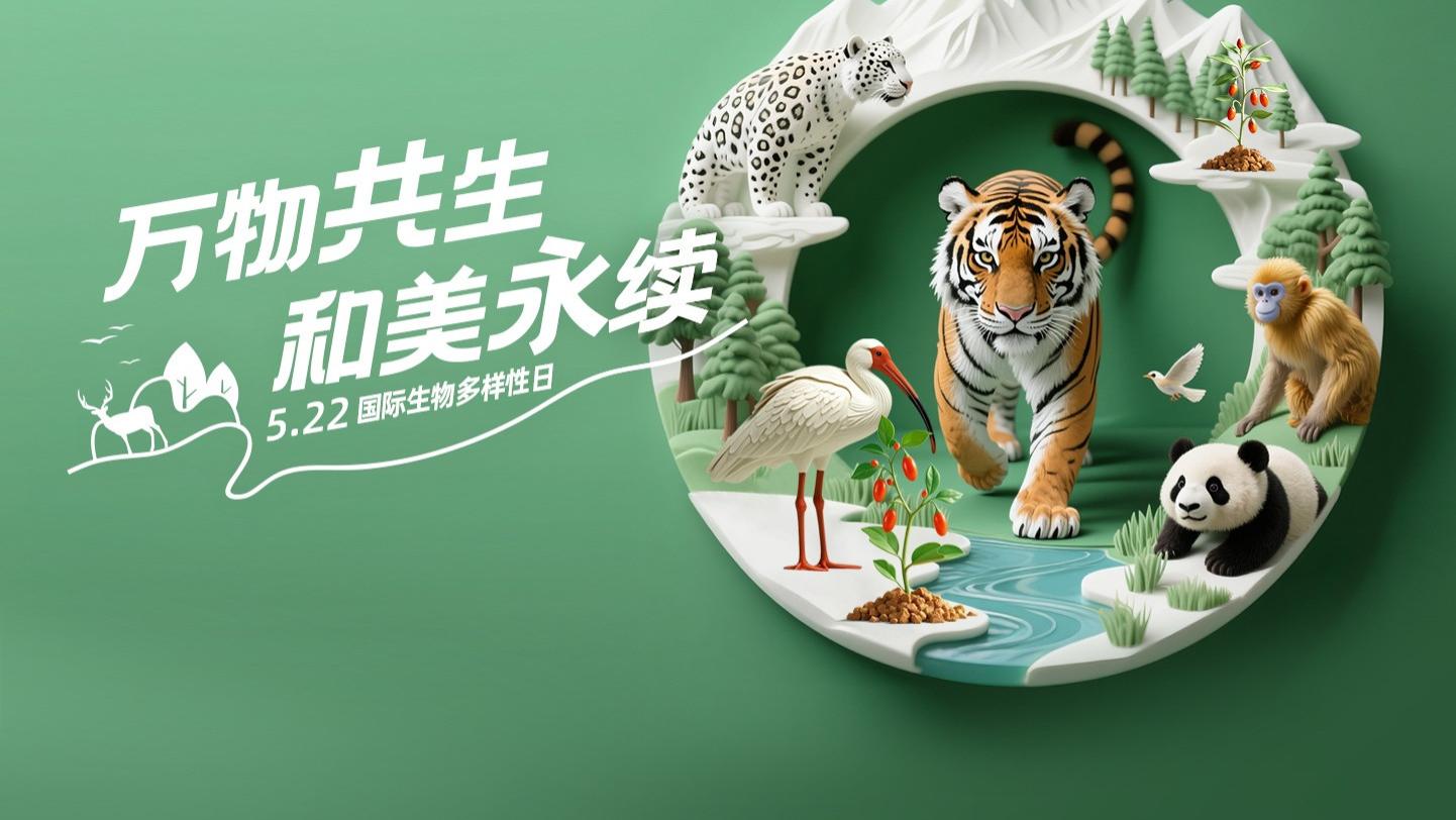 万物共生 和美永续：守护生物多样性 我们在行动