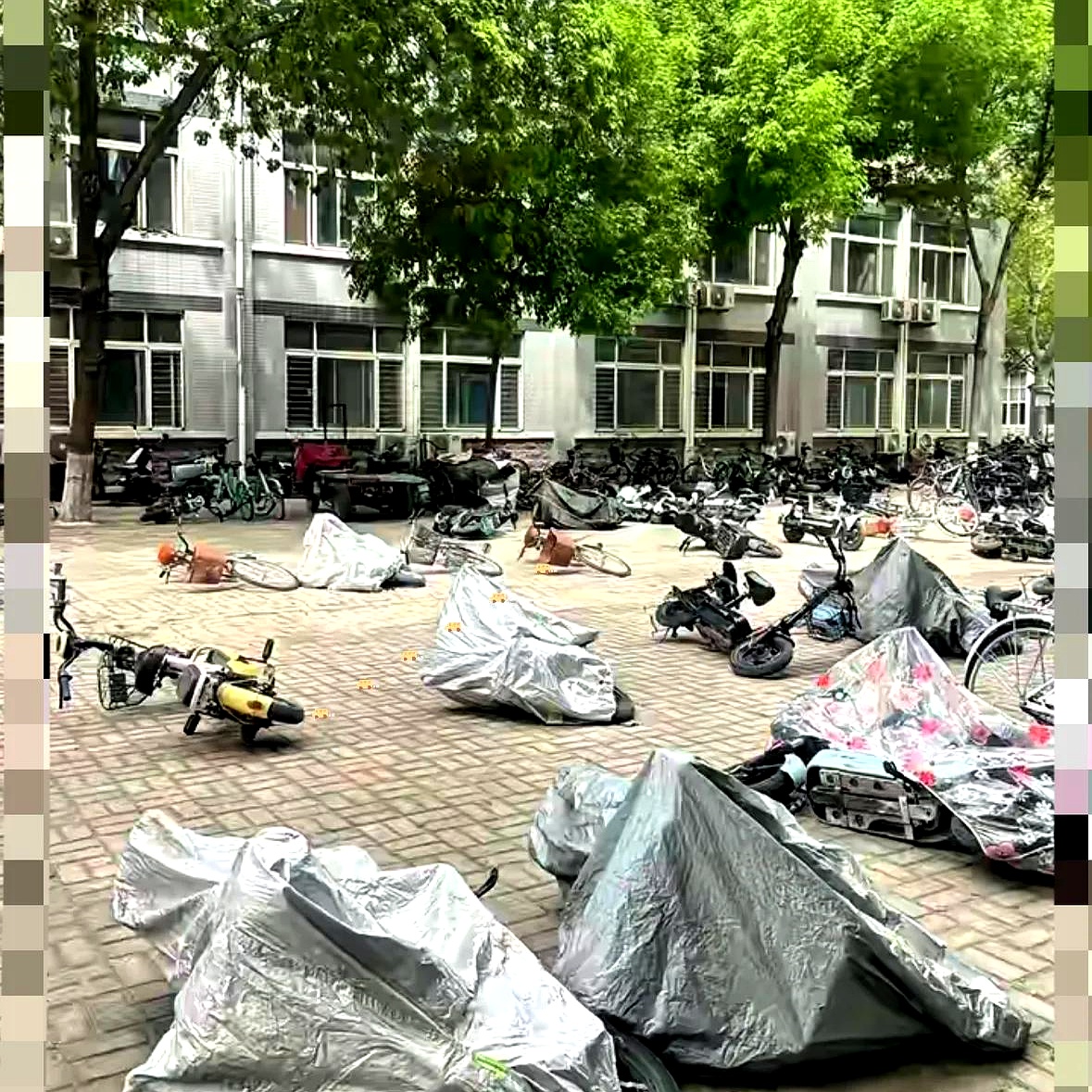 河北大学生这波操作，真是让人眼前一亮。面对大风，与其硬扛，不如躺平，这脑回路绝了