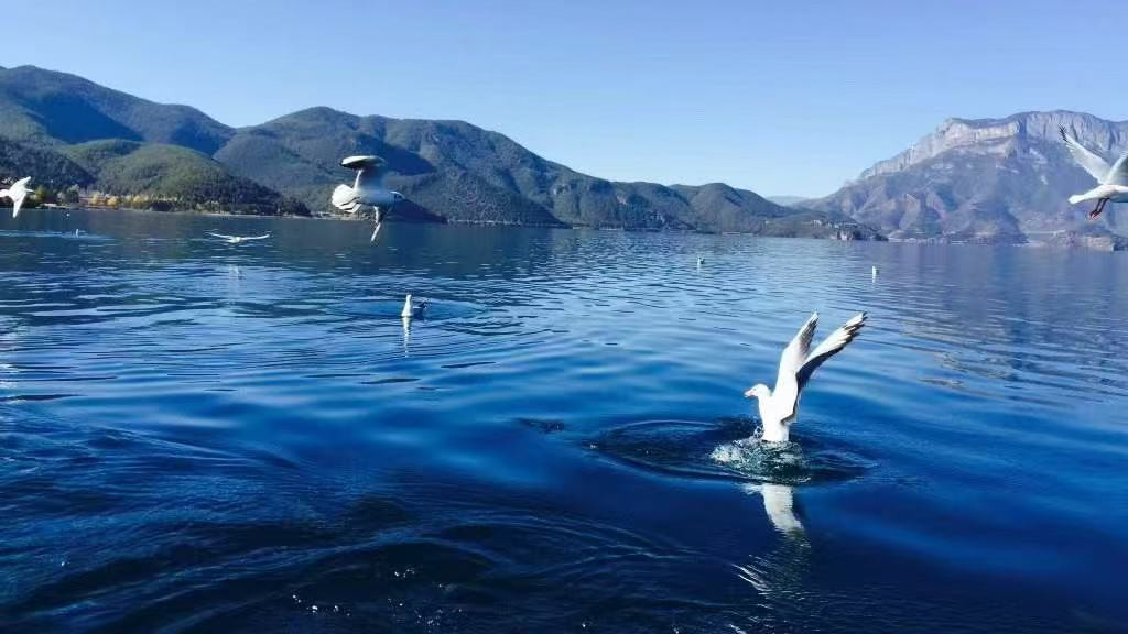 双色球25096期数字规律初步解读！