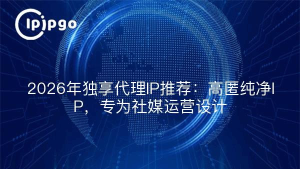 2026年独享代理IP推荐：高匿纯净IP，专为社媒运营设计