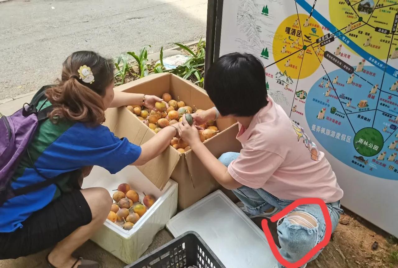 斌子又杀回西双版纳了，我今天早上跟大侄女小双说了，你跟小峰在智慧层面帮帮斌子，这