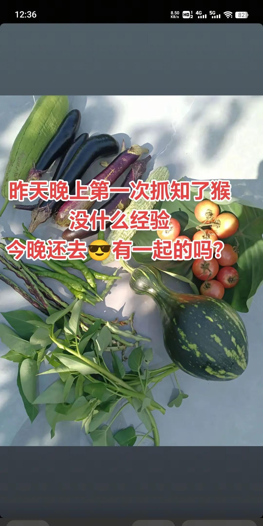 你是晚上去抓知了，别人是去抓偷菜贼[捂脸]