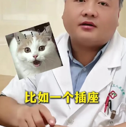 笑死了！6月17日，山东一名医生发布视频分享他眼中的网络小说之“基因重合度0％是