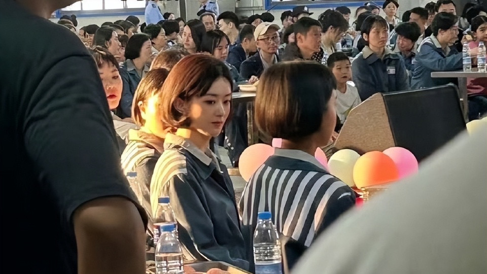 赵丽颖：从“流量小花”到“打戏女王”的蜕变之路