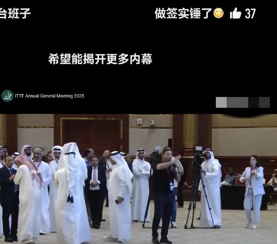 国际乒联，装都不装了，
不让刘国梁当主席就算了，
就那10几个人投票，还能整出个