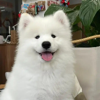 灵魂共枕