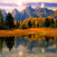 历史讲解员王汉周