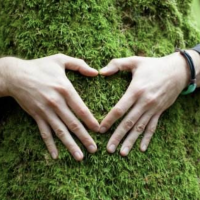 补偿生物信息能量