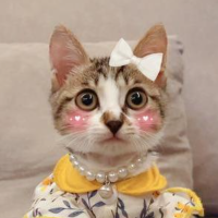 嘬嘬和啾啾