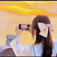 嘉林国际