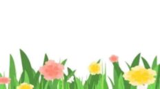 孩子不是任何人的配角