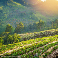 上官昭日升来聊