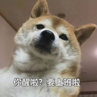 大立说