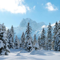 阿古拉巴雅尔的