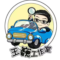 王巍说车