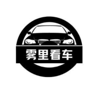 雾里看車