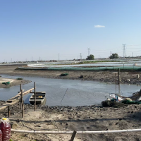 张先生网络运营