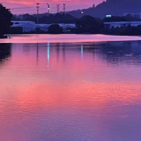 夜了个猫