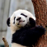 天天开开心心吖