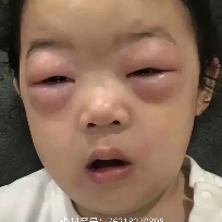 码字狗