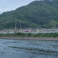 凝长风