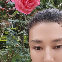 治愈伤痕