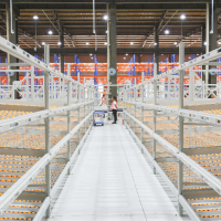 随意行走的货架