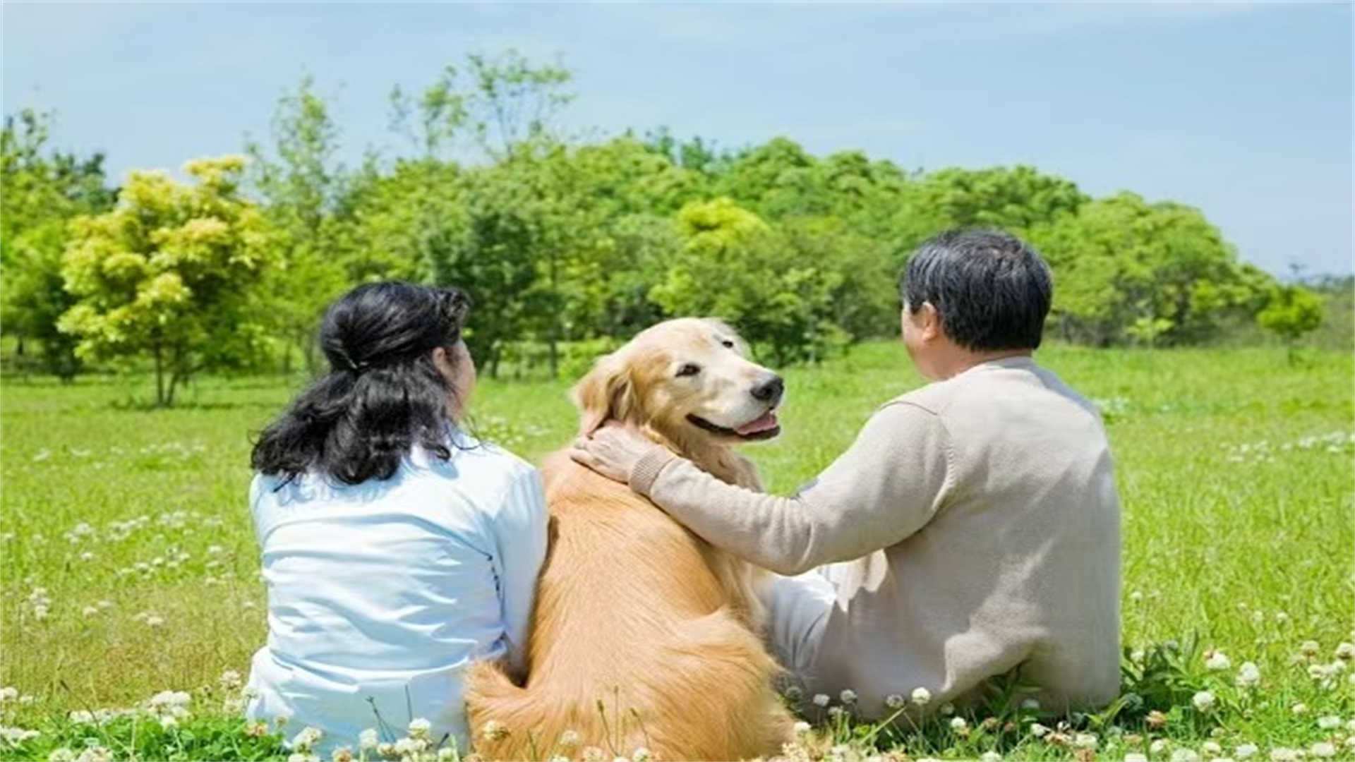 暴雨冲走万元菌包！村民打捞再利用，意外培育出水上菌床