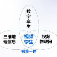 视频孪生