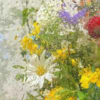 花花美好能量